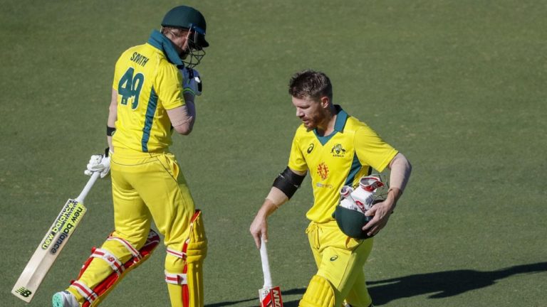 david warner and steve smith